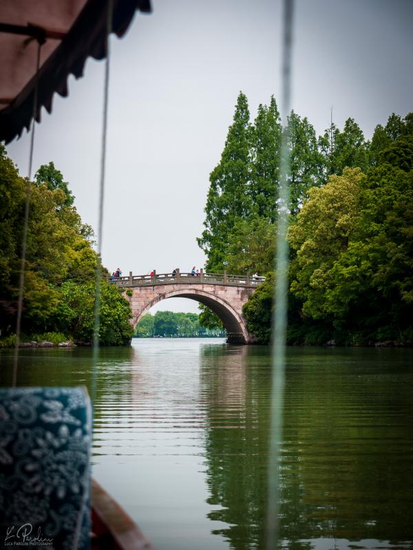 Water reflection of the West Lake in a sunny summer day with tree reflecting on the water and an old bridge in the background