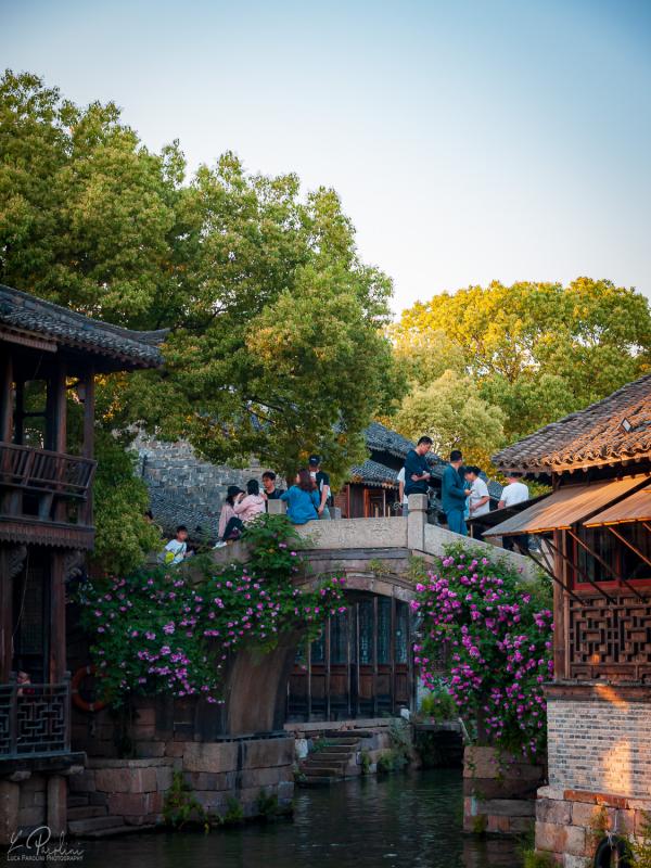 Stone bridge in Wuzhen covered with flower in a summer day with blue sky and green tree on the side